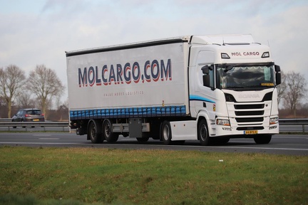 Mol Cargo 64-BPS-8
